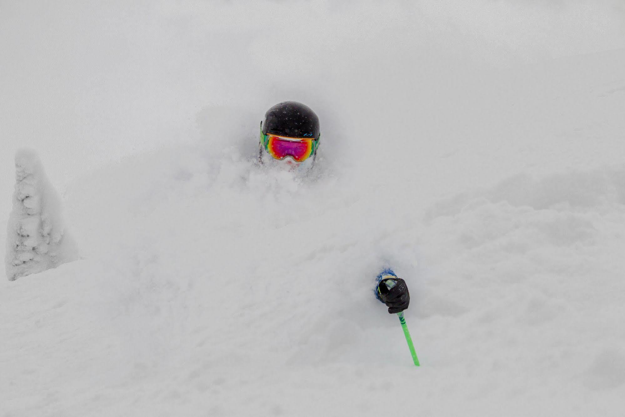 Teewinot Lodge By Grand Targhee Resort Alta Buitenkant foto