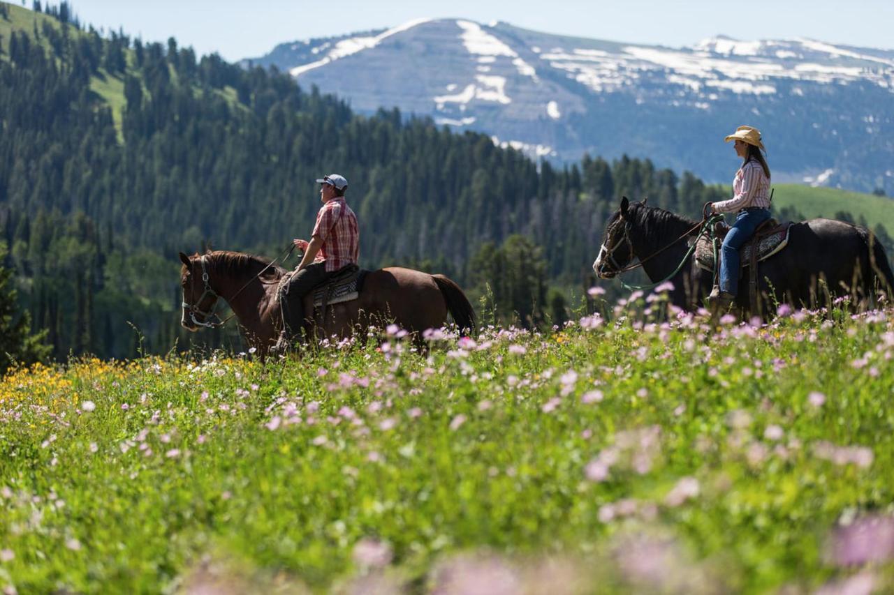 Teewinot Lodge By Grand Targhee Resort Alta Buitenkant foto